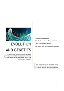 Evolution and genetics workbook - several practice worksheets together about genetics and evolution