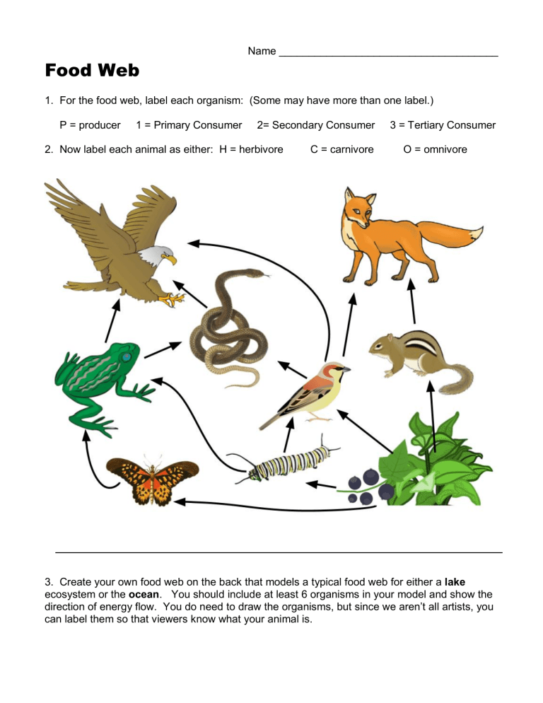 food-web-worksheet