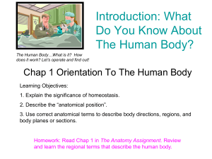 Chap 1 Orientation to the Human Body(2)