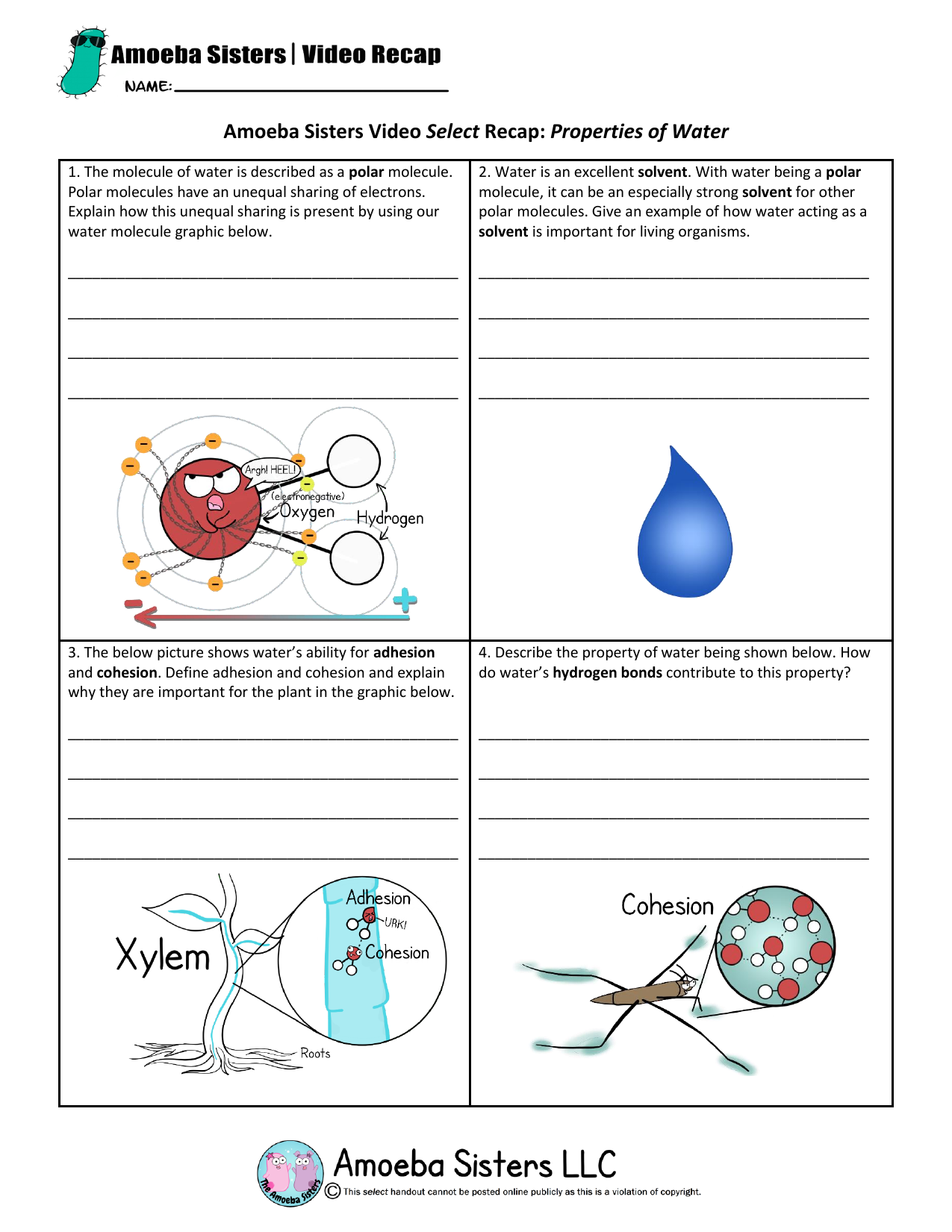 Amoeba Sisters Water Properties Worksheet