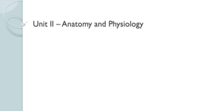 Unit-II-Anatomy-and-Physiology-vr-2