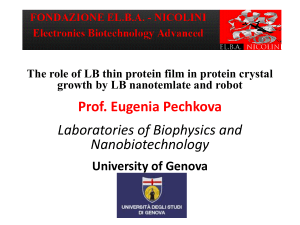 eugenia-pechkova-university-of-genova-italy (1)