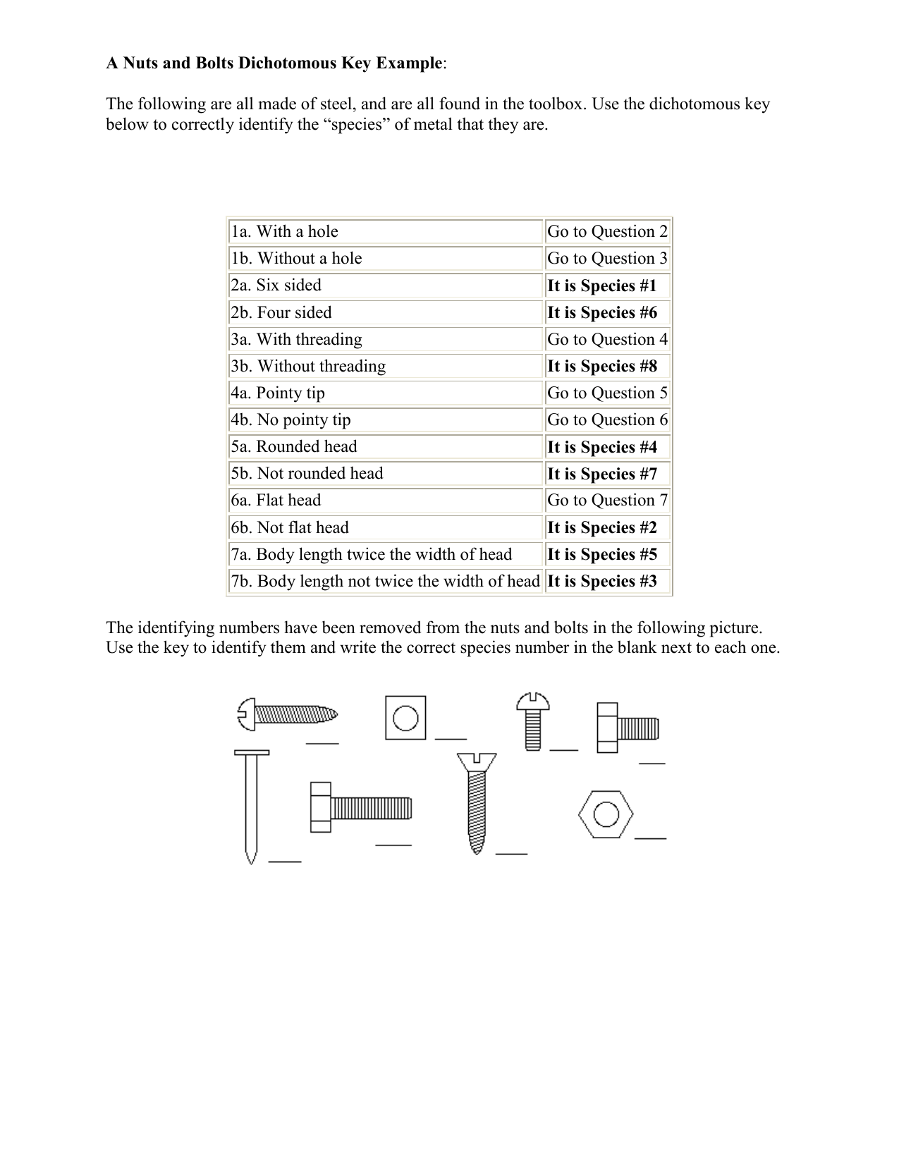 Nuts and Bolts Dichotomous Key Throughout Dichotomous Key Worksheet Pdf