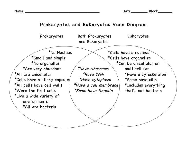 prokaryote:eukaryote