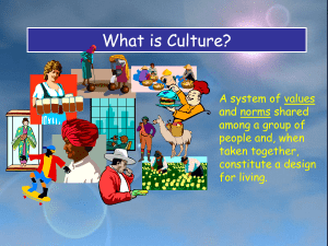 What is Culture 1