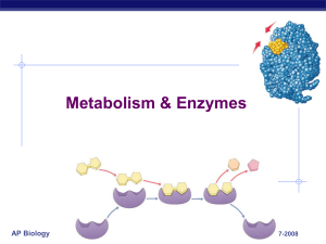5-pp-metabolism-enzymes