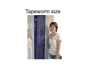Tapeworm presentation