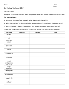Cell Analogy Worksheet 2