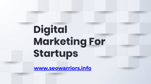 Digital Marketing For Startups | SEOWarriors