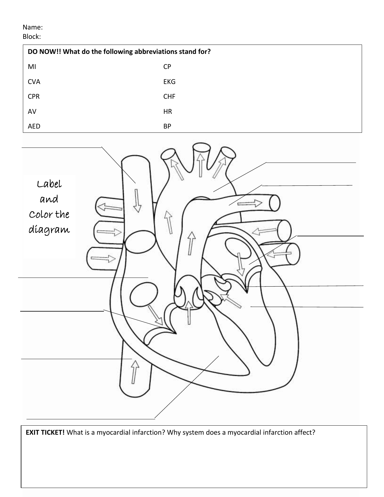 Cardiac anatomy worksheet to label and color
