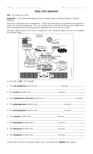 Cell City Introduction - worksheet