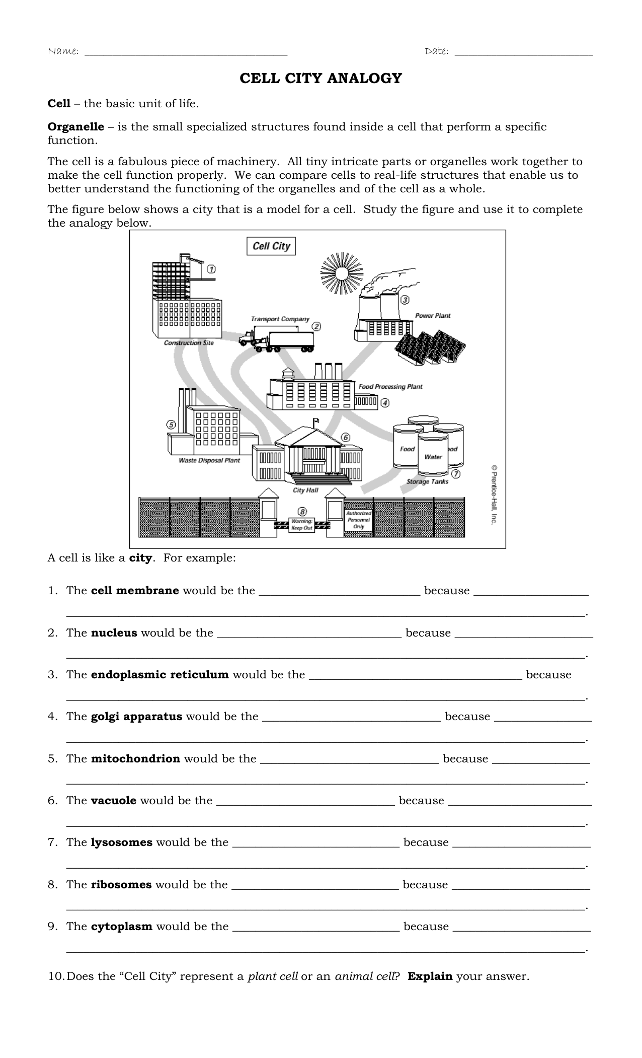 CellCityAnaolgyWS With Regard To Cell City Analogy Worksheet Answers