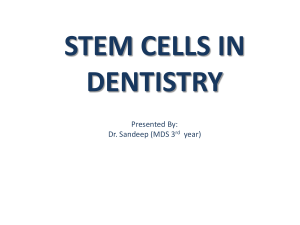 STEM CELLS presentation