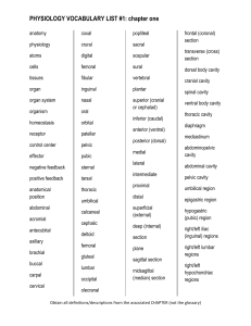 Vocabulary List 1