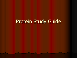 protein-study-guide-foods-1