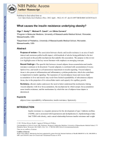 What causes the insulin resistance underlying obesity