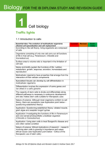 IB Biology Traffic Lights Checklist