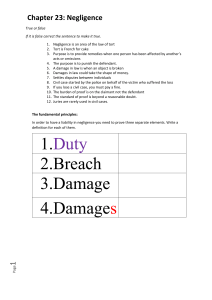 Chapter 23 Negligence