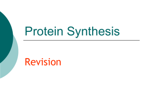 Protein Synthesis revision