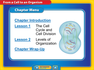 Chapter 3 Life Science