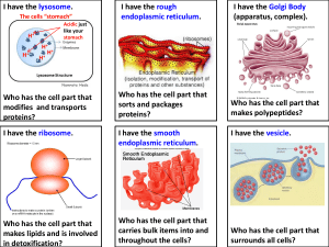 Cell Parts Game