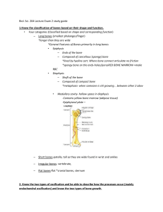 Biol Sci 204 exam 2 study guide