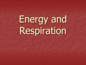 Energy and Respiration-1