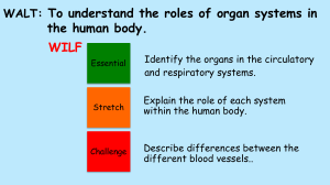 L07 Organ Systems 1