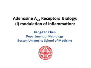 Chen-Adenosine biology-WMC-2011-12-09