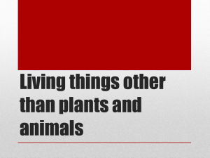 Living things other than plants and animals