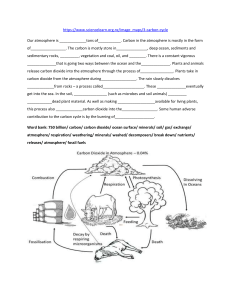 summary carbon cycle with blanks