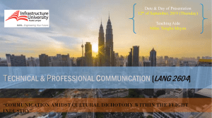 Intercultural Communication Issue within the Commercial Airline Industry