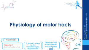 5. Physiology of Motor Tracts