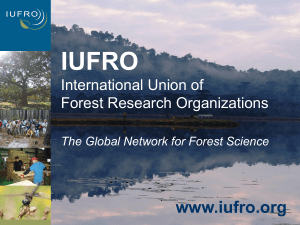 Iufro-presentation 2019