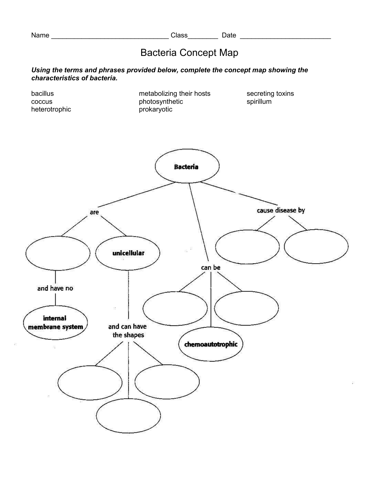 Bacteria Concept Map Worksheet With Cell Concept Map Worksheet Answers