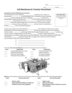 cell membrane and tonicity worksheet