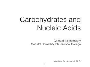 GenBC-Lecture04-Carbohydrates and Nucleic Acids