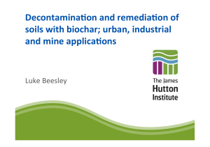 Biochar for Soil Remediation