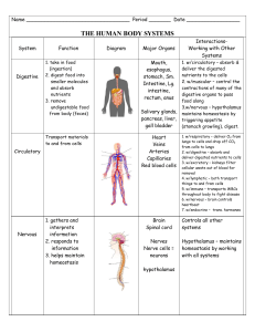 Body Systems Interactions chart