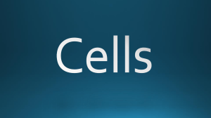 All About Cells