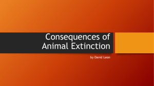 Consequences Animal Extinction