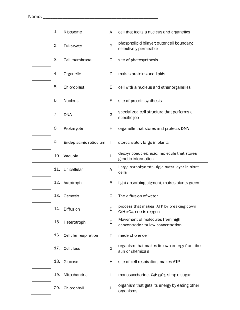 Test Module A Vocab