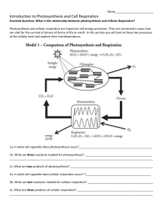 Introduction to Photosynthesis and Cellular Respiration