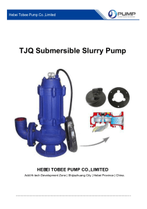 Tobee TJQ Series Submersible Slurry Pump