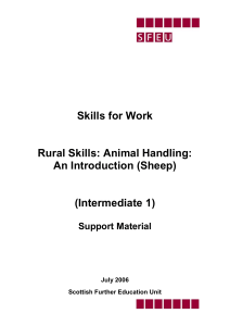 Rural-Skills-Animal-Handling-An-Introduction-Sheep