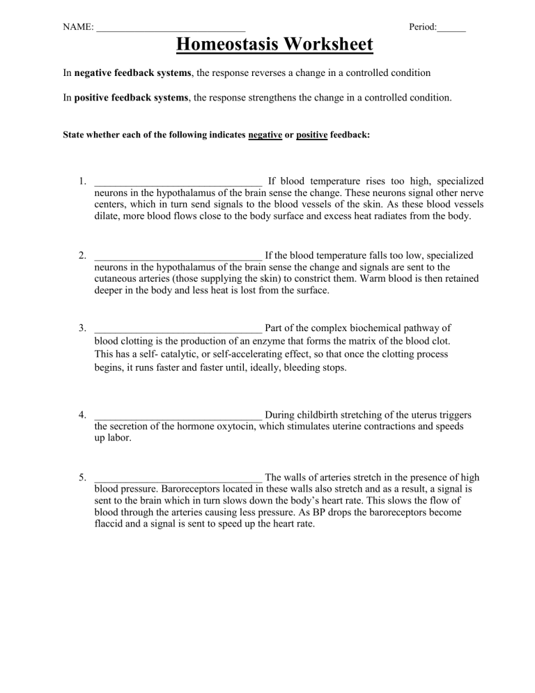 Homeostasis Worksheet