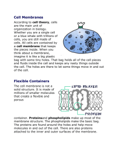 CELL MEMBRANE ARTICLE