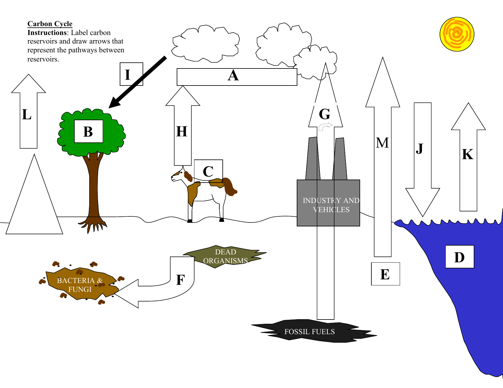 Draw diagram of i nitrogen cycle ii carbon cycle