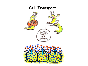 Cell Transport Notes