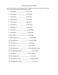 Worksheet - Anatomical Directions Practice